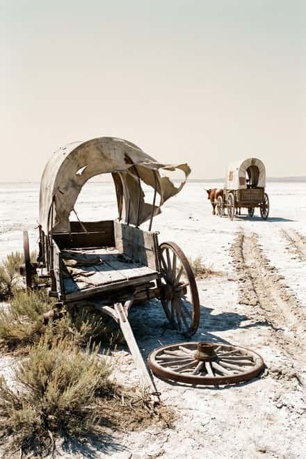 THE SALT ROAD
